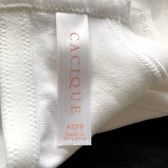 Lane Bryant Cacique Cotton Lightly Lined T-Shirt Bra. 42DD - Picture 4 of 8